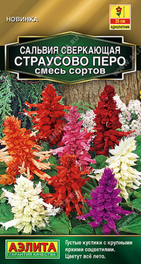 Страусово перо смеь Ц(А)