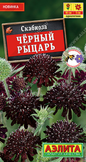 Черный рыцарь Ц(А)