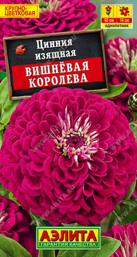 Вишневая королева Ц(А) (8847                     )