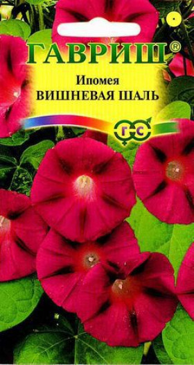 Вишневая шаль Ц(Г)