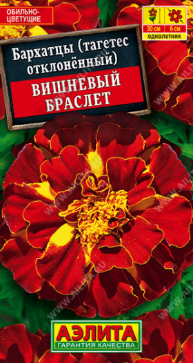 Вишневый браслет Ц(А)