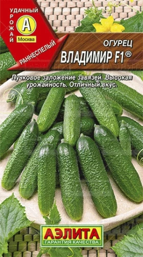 Владимир Ц(А)