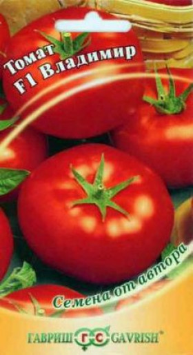 Владимир Ц(Г)