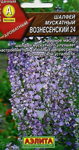 Вознесенский 24 мускатный Ц(А)