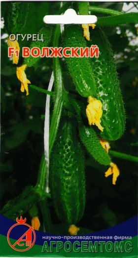 Волжский Киров