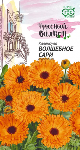 Волшебное сари Ц(Г)