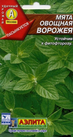 Ворожея Ц(А)