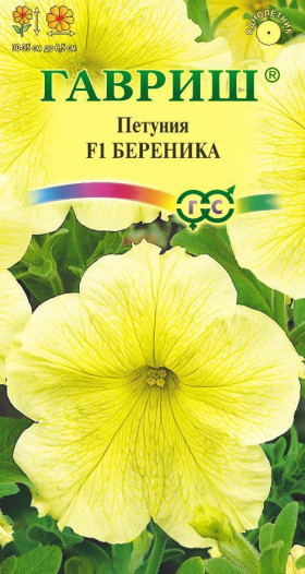 Береника Ц(Г)