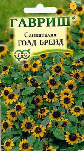 Голд Бреид Ц(Г)