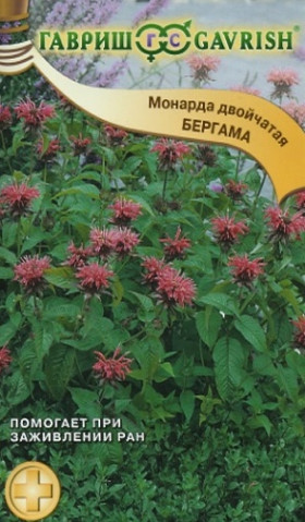 Бергама двойчатая Ц(Г)