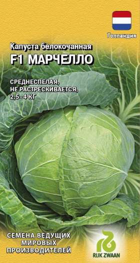 Марчелло Ц(Г)