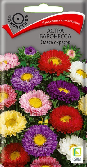 Баронесса Смесь окрасок Ц(Поиск)