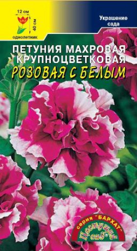 Бархат Розовая с Белым/Цветущий Сад
