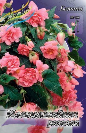 Иллюминейшн Розовая 3 шт