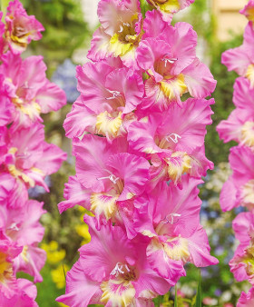 Москва гофр 12/14 7шт