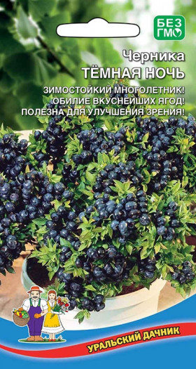 черника Темная ночь Ц(УД)