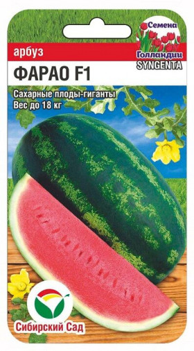 Фарао 4шт СС