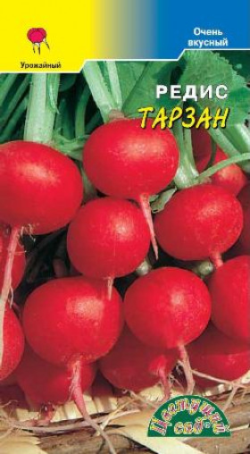 Тарзан/Цветущий Сад