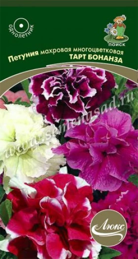 Тарт Бонанза Ц(Поиск)