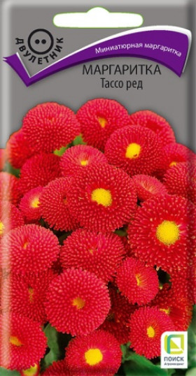 Тассо ред Ц(Поиск)