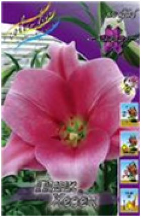 Пинк Хевен 12/14 (ЛО) 5шт