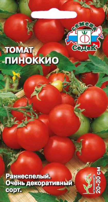 Пиноккио Ц(С)