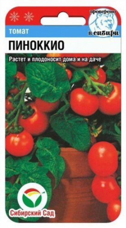 Пиноккио СС