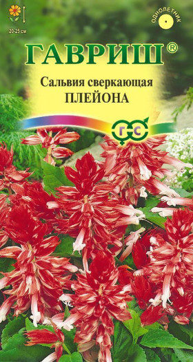 Плейона Ц(Г)