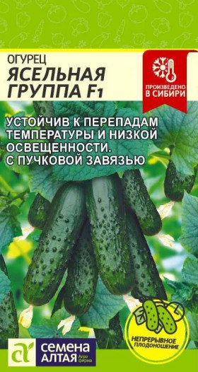 Ясельная Группа 5шт Ц(Алт)