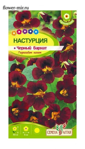 Черный бархат 0,5гр Ц(Алт)