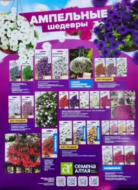 Плакат Ампельные шедевры 2023