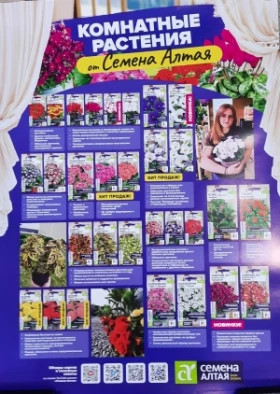 Плакат Комнатные растения 2023