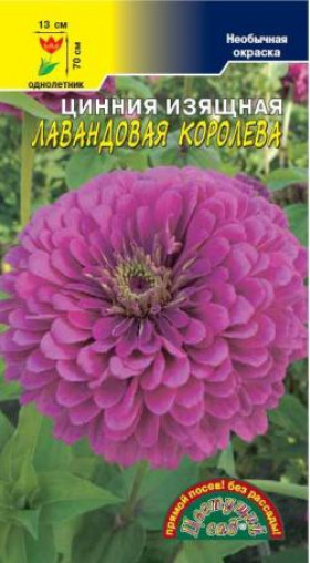 Лавандовая королева/Цветущий сад