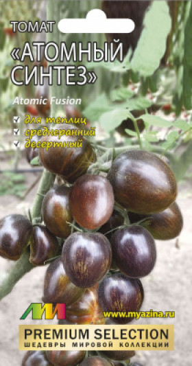 Атомный синтез /Мязина