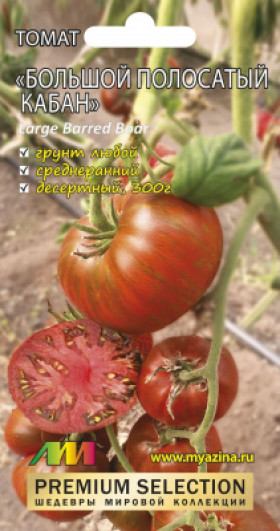 Большой Полосатый Кабан /Мязина