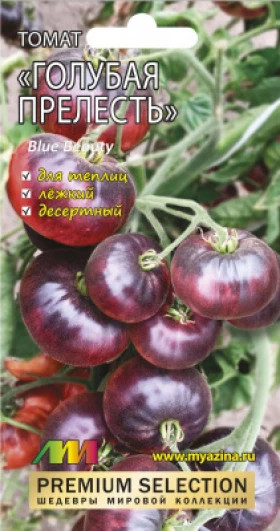 Голубая Прелесть /Мязина