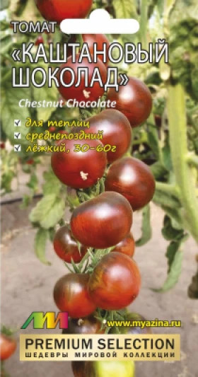 Каштановый шоколад /Мязина