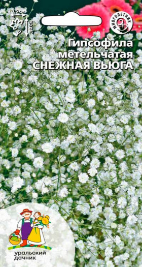 Снежная вьюга Ц(УД)