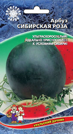 Сибирская роза Ц(УД)