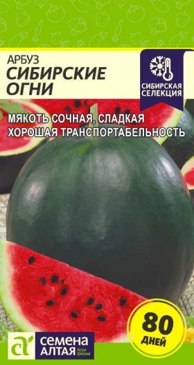 Сибирские Огни Ц(Алт)