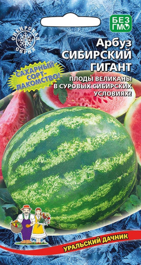 Сибирский Гигант Ц(УД)
