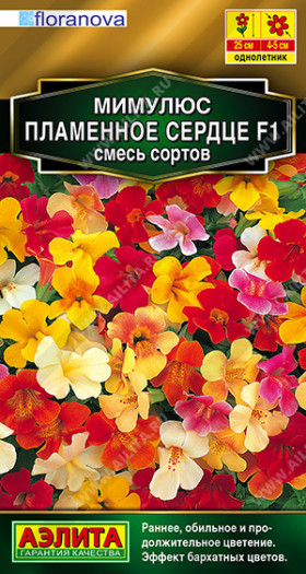 Пламенное сердце Ц(А)