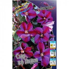 Стар оф Индия 2шт (каперсы)