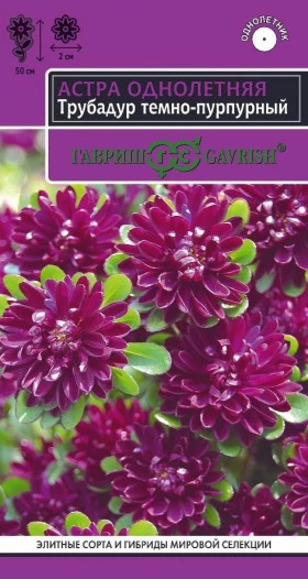 Трубадур темно-пурпурный Ц(Г)