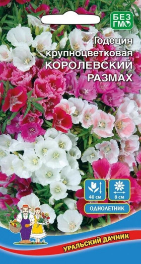 Королевский размах крупноцв Ц(УД)