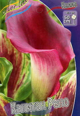 Капитан Рено 12/14 2шт