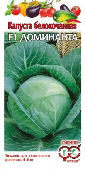 Доминанта 10шт. для хранения Ц(Г)