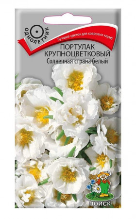 Солнечная страна белый Ц(Поиск)