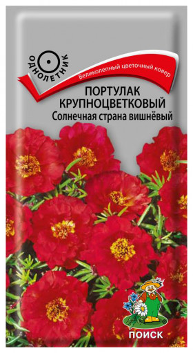 Солнечная страна вишневый Ц(Поиск)