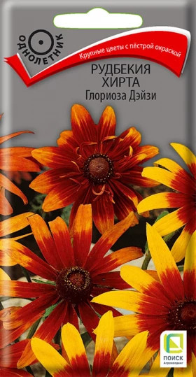 Глориоза Дэйзи хирта Ц(Поиск)